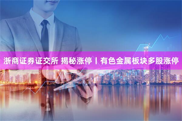 浙商证券证交所 揭秘涨停丨有色金属板块多股涨停