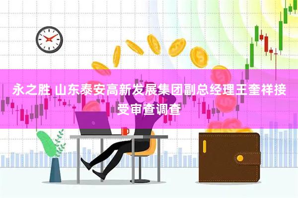 永之胜 山东泰安高新发展集团副总经理王奎祥接受审查调查