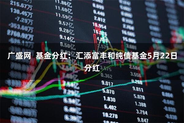 广盛网  基金分红：汇添富丰和纯债基金5月22日分红