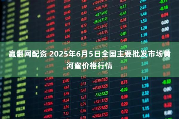 赢翻网配资 2025年6月5日全国主要批发市场黄河蜜价格行情