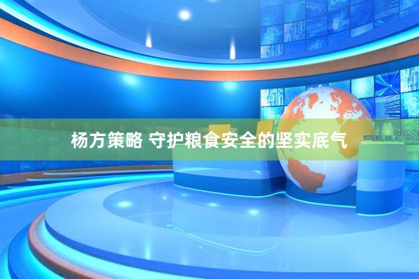 杨方策略 守护粮食安全的坚实底气
