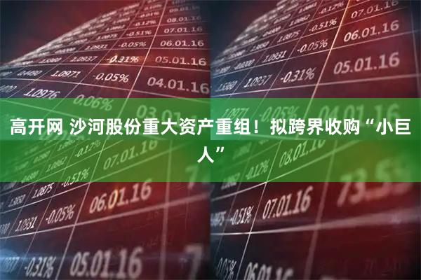 高开网 沙河股份重大资产重组！拟跨界收购“小巨人”