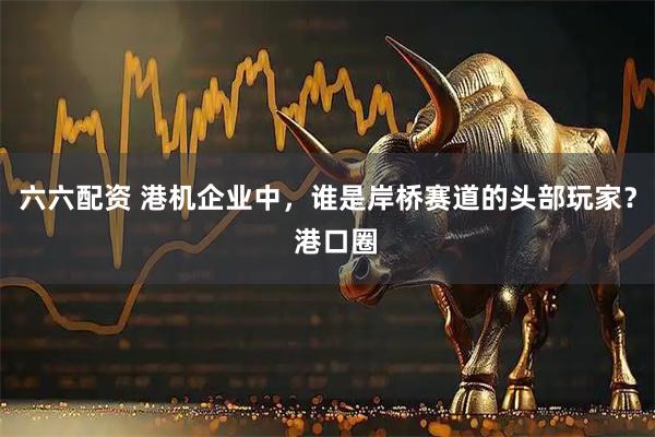 六六配资 港机企业中，谁是岸桥赛道的头部玩家？  港口圈