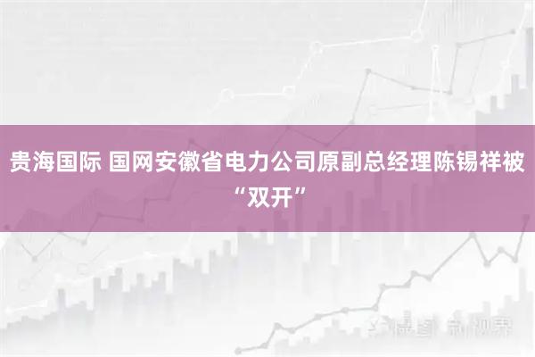 贵海国际 国网安徽省电力公司原副总经理陈锡祥被“双开”