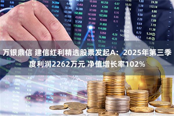 万银鼎信 建信红利精选股票发起A：2025年第三季度利润2262万元 净值增长率102%
